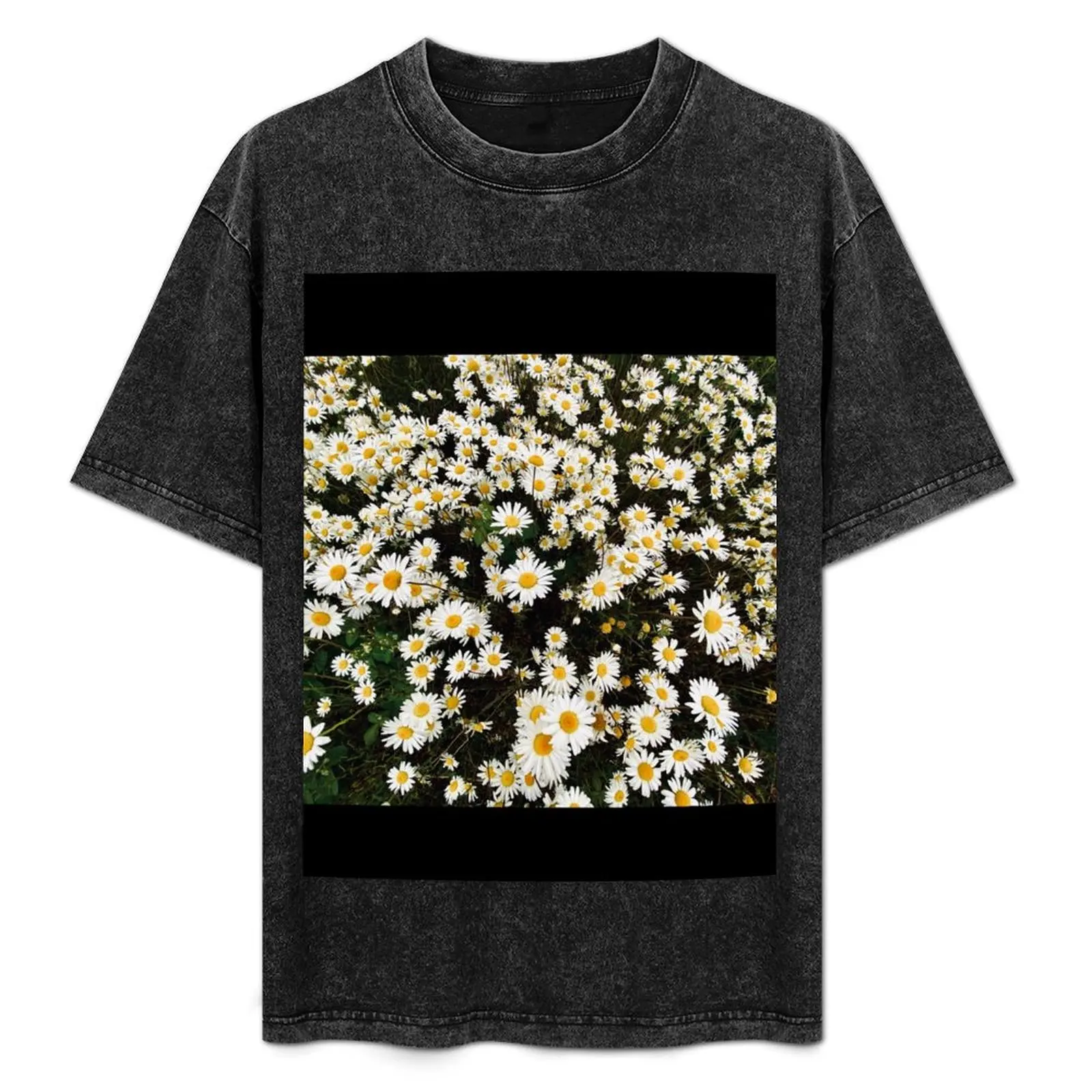 Daisies T-Shirt Plus Size Summer Casual T-Shirt
Daisies T-Shirt Plus Size Summer Casual T-Shirt