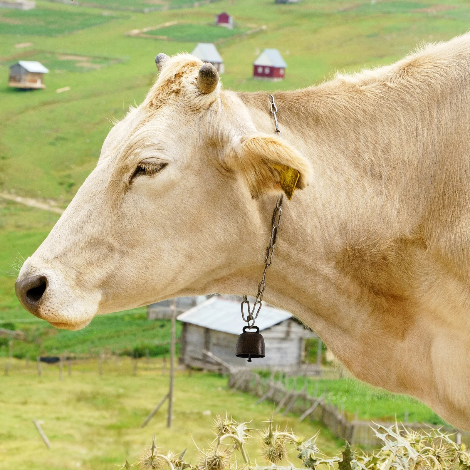 2Pcs Pet Anti-Lost Cow Bells Vintage Bronze Hanging Iron Bells for Sheep Horse Cattle Farm Grazing Accessories
2Pcs Pet Anti-Lost Cow Bells Vintage Bronze Hanging Iron Bells for Sheep Horse Cattle Farm Grazing Accessories