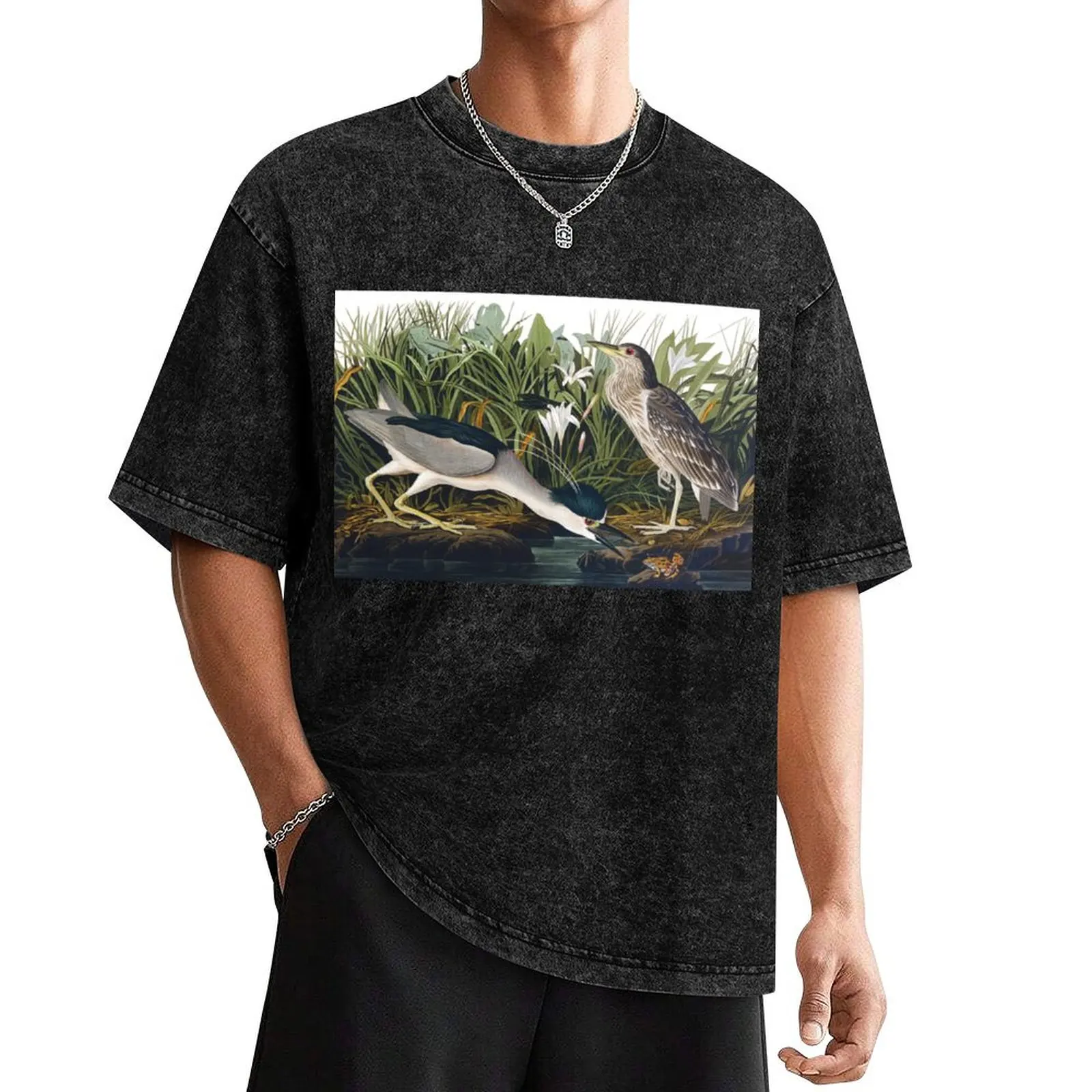Black-crowned Night Heron by John James Audubon T-Shirt man clothes boys animal print Short sleeve tee men
Black-crowned Night Heron by John James Audubon T-Shirt man clothes boys animal print Short sleeve tee men
