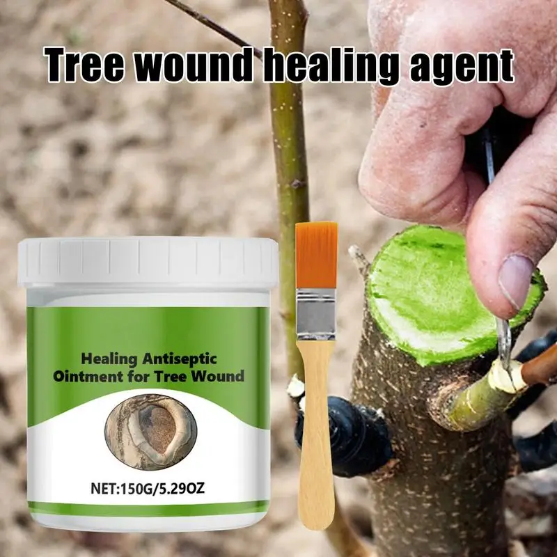 Tree wound repair healing cream 150g wound healing sealant tree sealant with brush suitable for tree wound pruning sealing
Tree wound repair healing cream 150g wound healing sealant tree sealant with brush suitable for tree wound pruning sealing