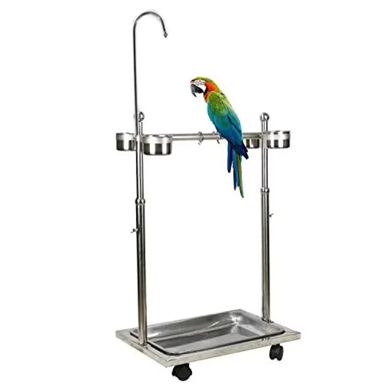 Wholesale by Manufacturers Bird Parrot Stainless Steel Stand Frame Parrot Supplies
Wholesale by Manufacturers Bird Parrot Stainless Steel Stand Frame Parrot Supplies