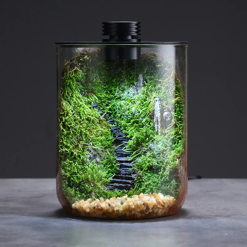 Micro Landscape Ecological Desktop Glass Plant Terrarium with Grow Light for Hydroponic Bryophyte Moss Container Home Decor
Micro Landscape Ecological Desktop Glass Plant Terrarium with Grow Light for Hydroponic Bryophyte Moss Container Home Decor