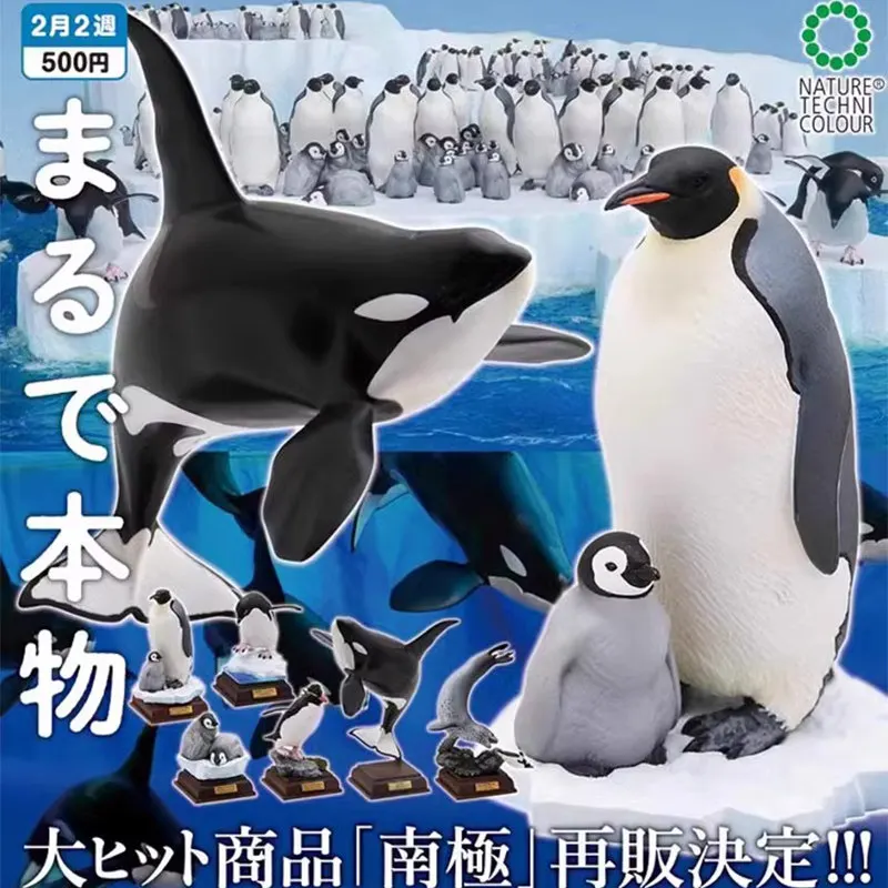 Bandai Kitan Ikimon Antarctic Animals Expanded Ver. 6 Types 2.8-6.4cm Soft PVC Figure Desk Ornament Collectible Gift In Stock
Bandai Kitan Ikimon Antarctic Animals Expanded Ver. 6 Types 2.8-6.4cm Soft PVC Figure Desk Ornament Collectible Gift In Stock