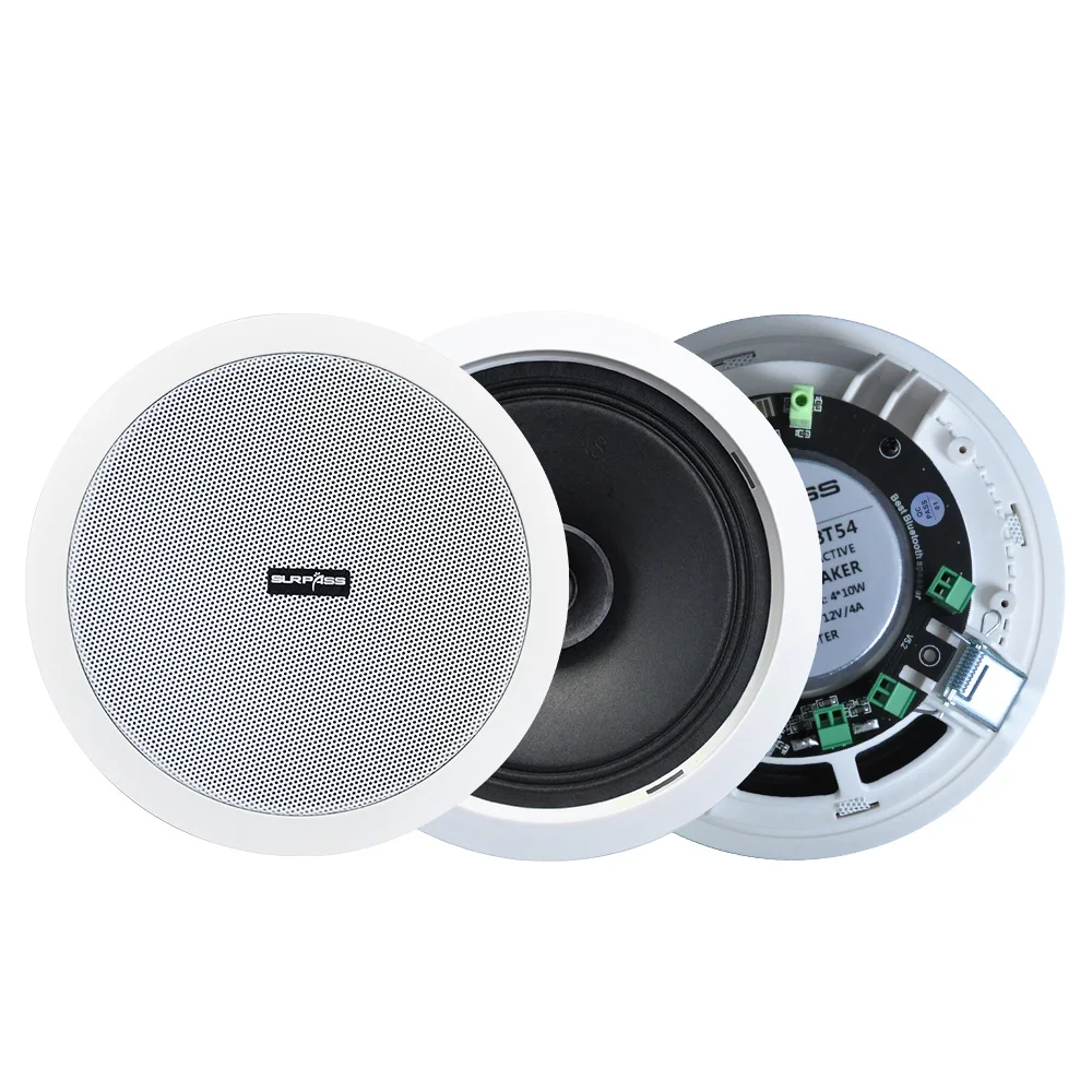 Cheap Set 4PCS Blue-too Complete System Loudspeaker Power Active Ceiling Speaker
Cheap Set 4PCS Blue-too Complete System Loudspeaker Power Active Ceiling Speaker