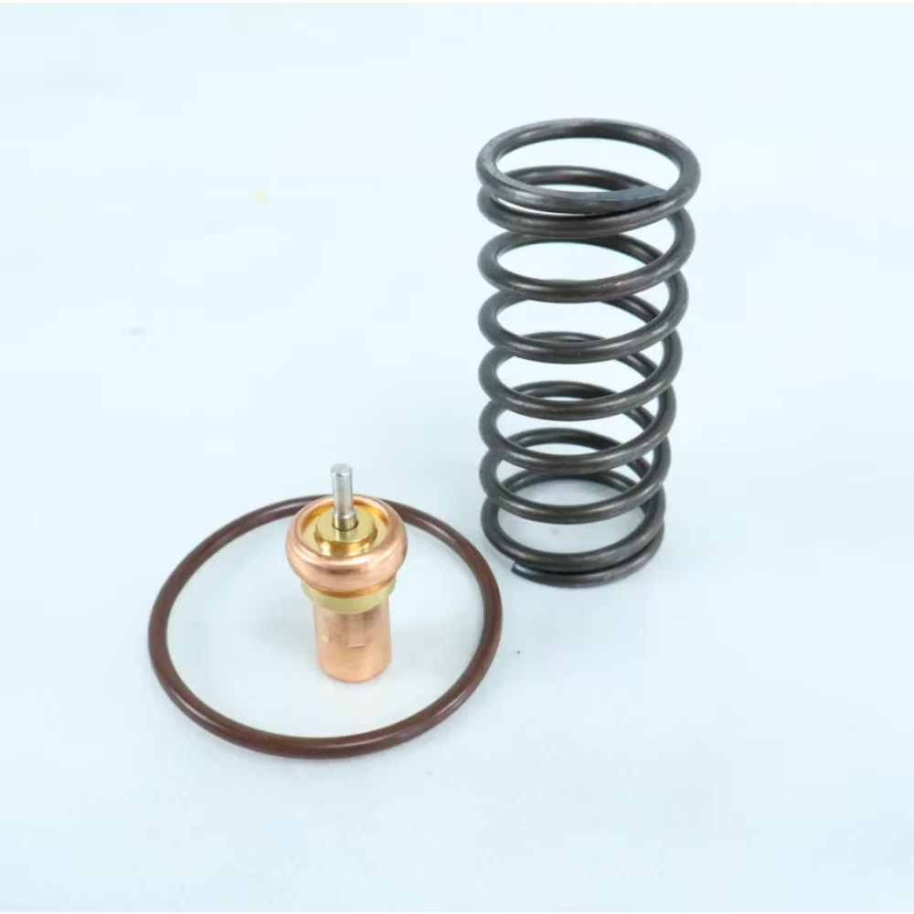 QX105701 Thermostatic Valve Repair Kits Air Compressor Parts
QX105701 Thermostatic Valve Repair Kits Air Compressor Parts