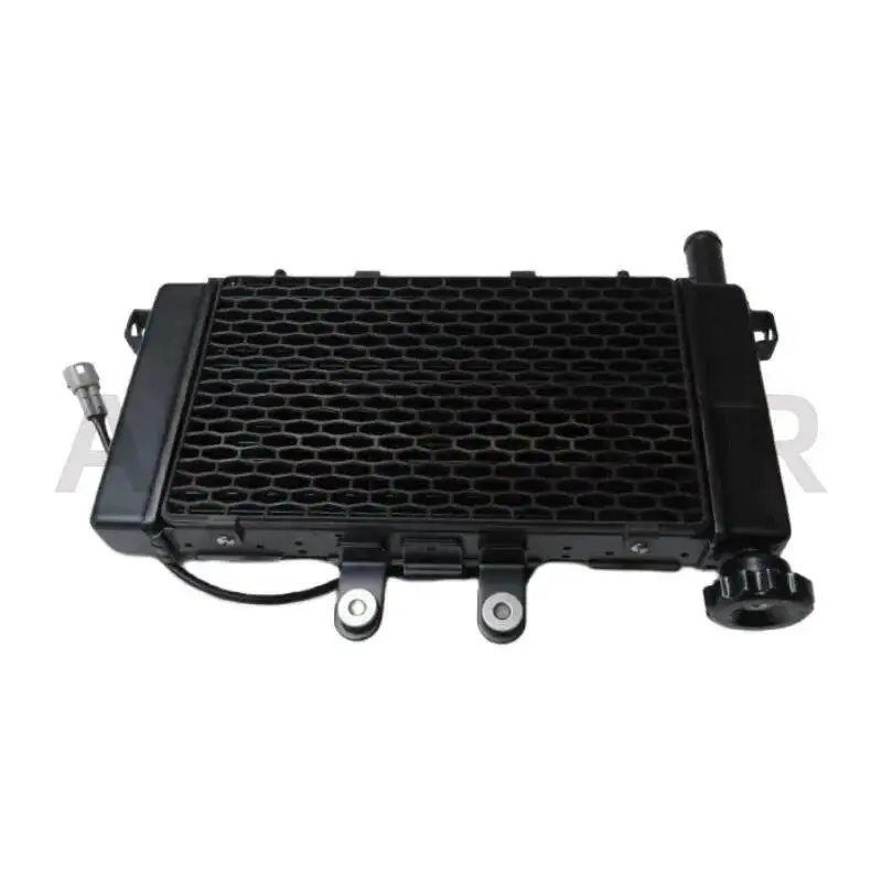 Water Tank Radiator Assembly For Loncin Voge 650ds Lx650-2
Water Tank Radiator Assembly For Loncin Voge 650ds Lx650-2