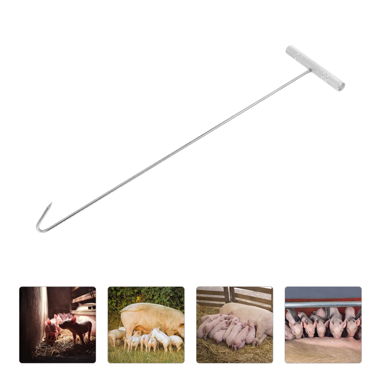 Midwifery Hook Pig Delivery Equipment Tool for Sow Farm Accessory Abs Livestock
Midwifery Hook Pig Delivery Equipment Tool for Sow Farm Accessory Abs Livestock