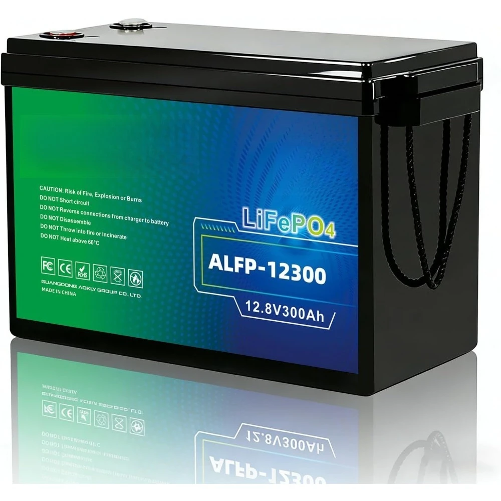 Миниатюрная литиевая LiFePO4 батарея 12В 300Ач с BMS 200А, 15000+ циклов глубокого разряда, 3840Втч, защита от низких температур, на заказ
Миниатюрная литиевая LiFePO4 батарея 12В 300Ач с BMS 200А, 15000+ циклов глубокого разряда, 3840Втч, защита от низких температур, на заказ
