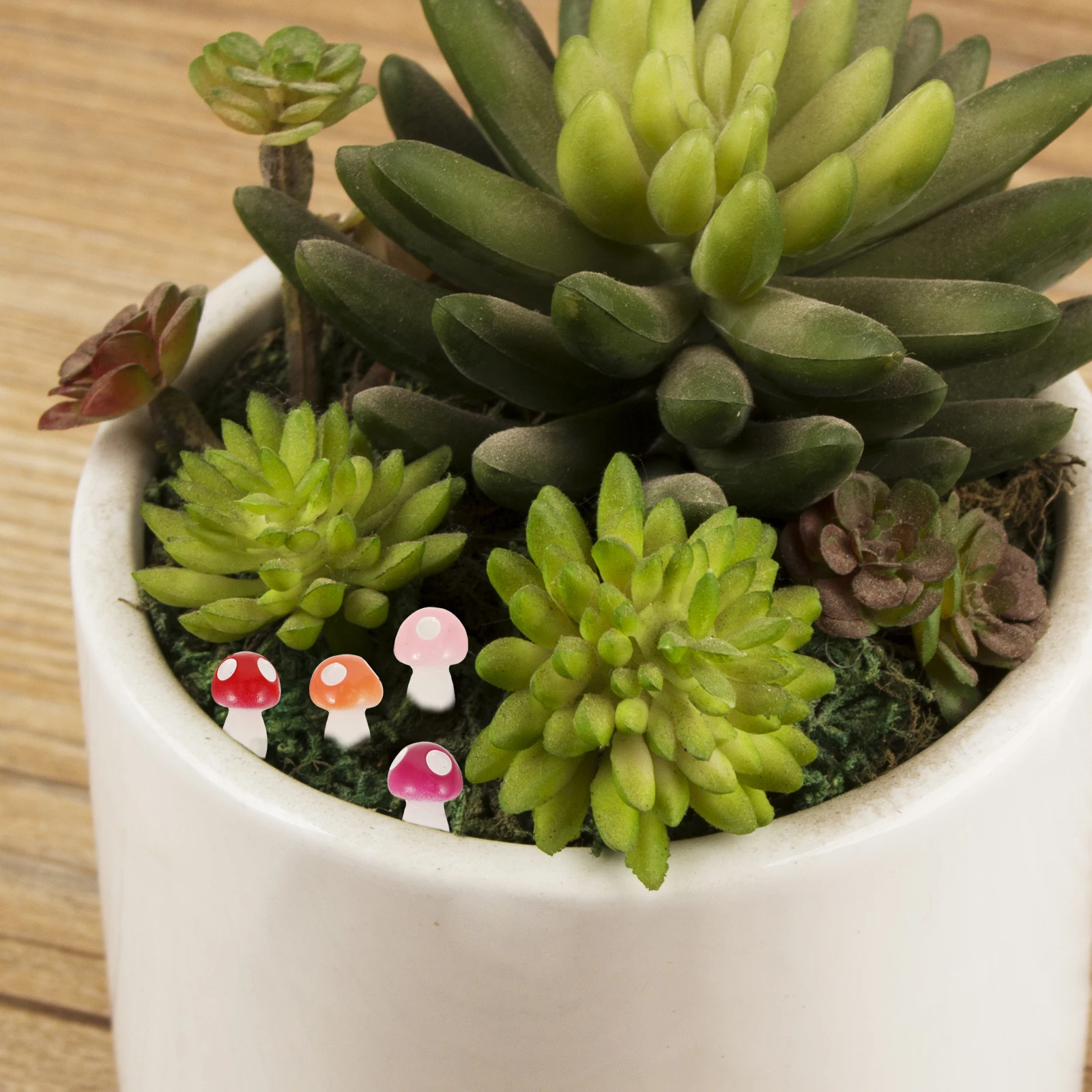 100Pcs Miniature Mushroom Decor Resin Craft Lightweight DIY Micro Landscape Garden Ornament Desktop Decor Micro Scene Layout
100Pcs Miniature Mushroom Decor Resin Craft Lightweight DIY Micro Landscape Garden Ornament Desktop Decor Micro Scene Layout