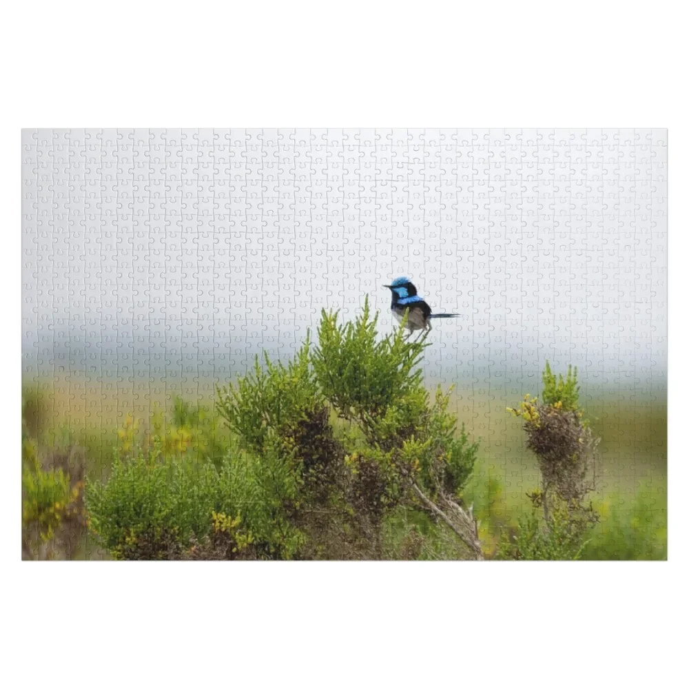 Мужской пазл Fairy Wren, деревянное имя, деревянные коробки, детские произведения искусства, головоломка
Мужской пазл Fairy Wren, деревянное имя, деревянные коробки, детские произведения искусства, головоломка