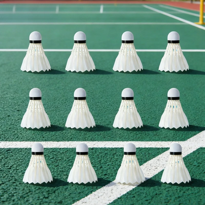 12pcs Indoor and Outdoor Badminton Excellent Stability Badminton Suitable for Adult Student Learning and Training Competitions
12pcs Indoor and Outdoor Badminton Excellent Stability Badminton Suitable for Adult Student Learning and Training Competitions