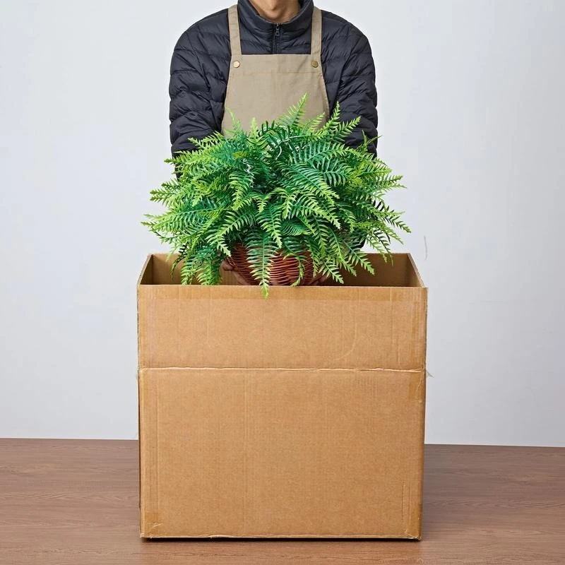 Artificial Ferns, 2 Pcs Fake Hanging Boston Fern Bush Plant with 23 Inch Hanging Length, Plastic Faux Greenery for Indoor and Outdoor Decor, For Wall, Wedding Party, Home, Porch Garden, Office
Artificial Ferns, 2 Pcs Fake Hanging Boston Fern Bush Plant with 23 Inch Hanging Length, Plastic Faux Greenery for Indoor and Outdoor Decor, For Wall, Wedding Party, Home, Porch Garden, Office