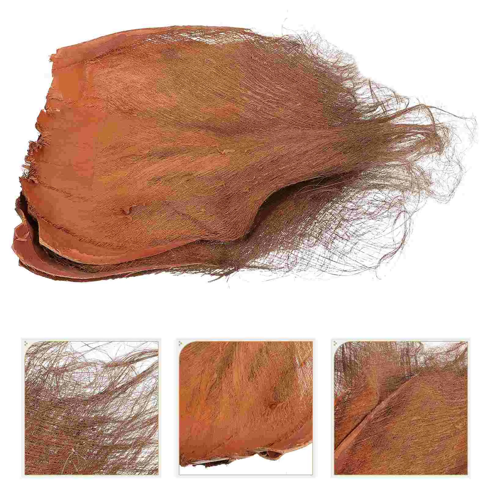 3 Pcs Decorative Pipe Blocking Coconut Tree Bark for Natural Ornament Decoration Water Supplies Home Brown Ornaments
3 Pcs Decorative Pipe Blocking Coconut Tree Bark for Natural Ornament Decoration Water Supplies Home Brown Ornaments