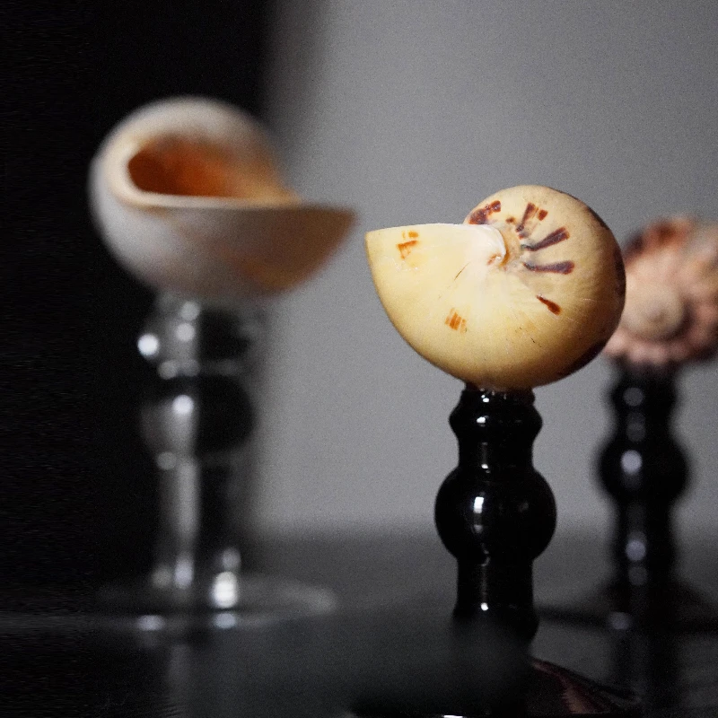 Natural Conch Shell Cup, Handmade Creative Gift, Home Barware Decoration, High-Foot Drinking Glass, Elegant Houseware Daily Use
Natural Conch Shell Cup, Handmade Creative Gift, Home Barware Decoration, High-Foot Drinking Glass, Elegant Houseware Daily Use