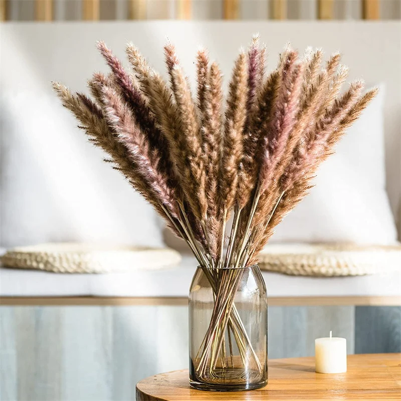30pcs Dried Flowers Bouquet White Pampas Grass Decor Arrangements For Boho Bedroom Aesthetic room Decor Decorative Home Wedding
30pcs Dried Flowers Bouquet White Pampas Grass Decor Arrangements For Boho Bedroom Aesthetic room Decor Decorative Home Wedding
