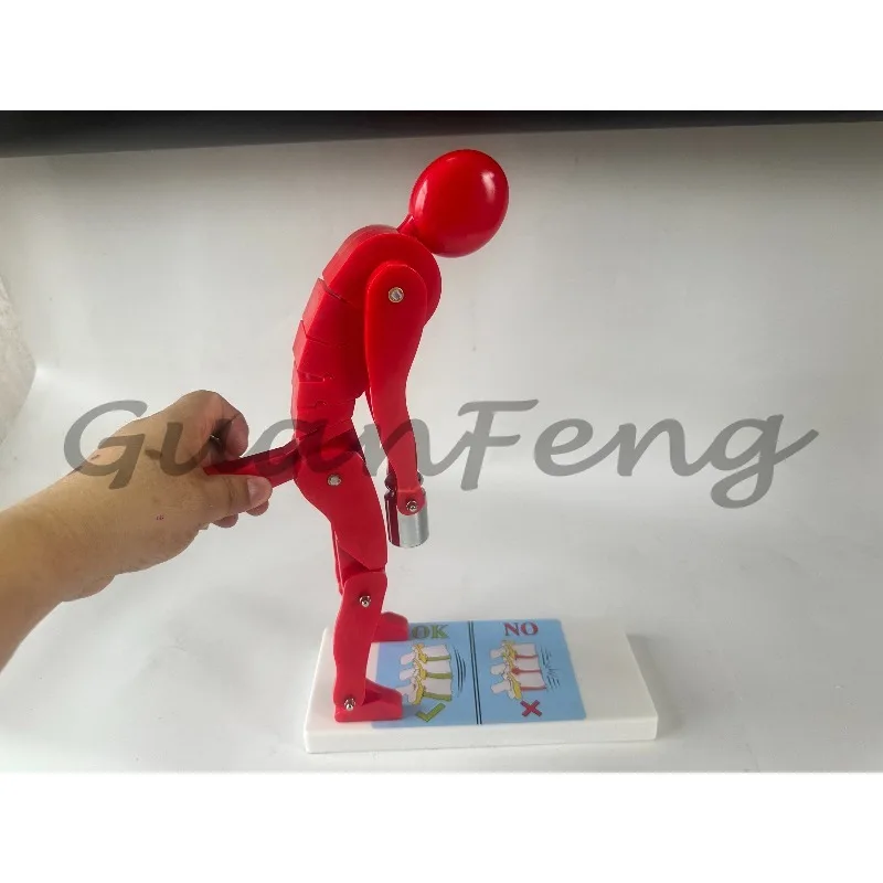Human Weightlifting Spine Force Demonstration Model Fitness Weight Correct Posture Demonstration Waist Lumbar Protection
Human Weightlifting Spine Force Demonstration Model Fitness Weight Correct Posture Demonstration Waist Lumbar Protection