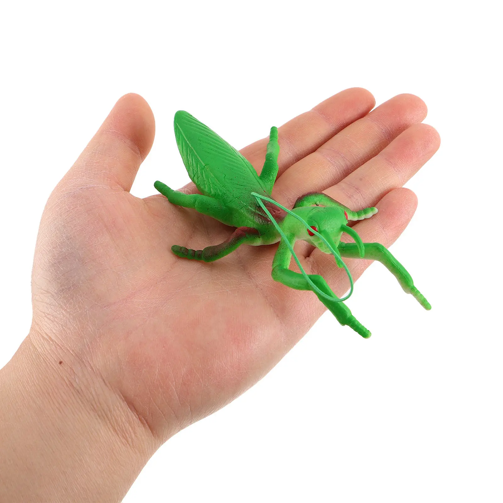 12Pcs Realistic Mantis Insect Simulation Soft Bug Figures for Kids Desktop Animal Ornaments Garden Party Favors Creative
12Pcs Realistic Mantis Insect Simulation Soft Bug Figures for Kids Desktop Animal Ornaments Garden Party Favors Creative