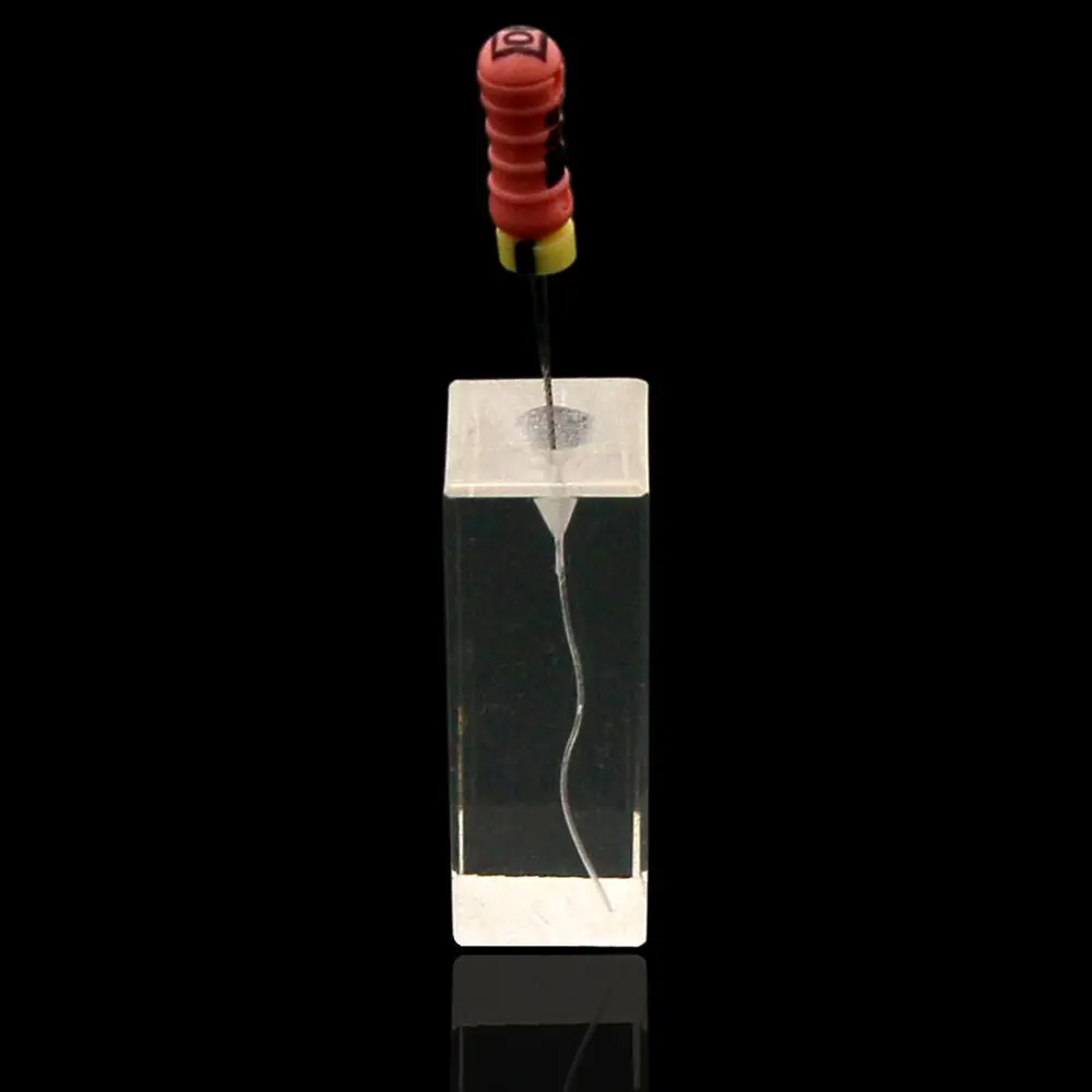 10Pcs Dental Root Canal Teeth Study Model Endodontic Rotary Files Practice Block
10Pcs Dental Root Canal Teeth Study Model Endodontic Rotary Files Practice Block