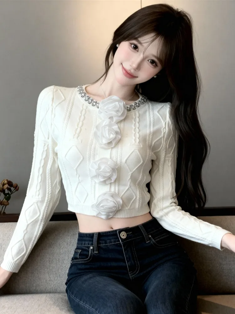 Elegant round Neck Long Sleeve Knitwear Short Style Women's Slim Fit Top Autumn Winter Season Bore Hole Pattern Casual Wear
Elegant round Neck Long Sleeve Knitwear Short Style Women's Slim Fit Top Autumn Winter Season Bore Hole Pattern Casual Wear