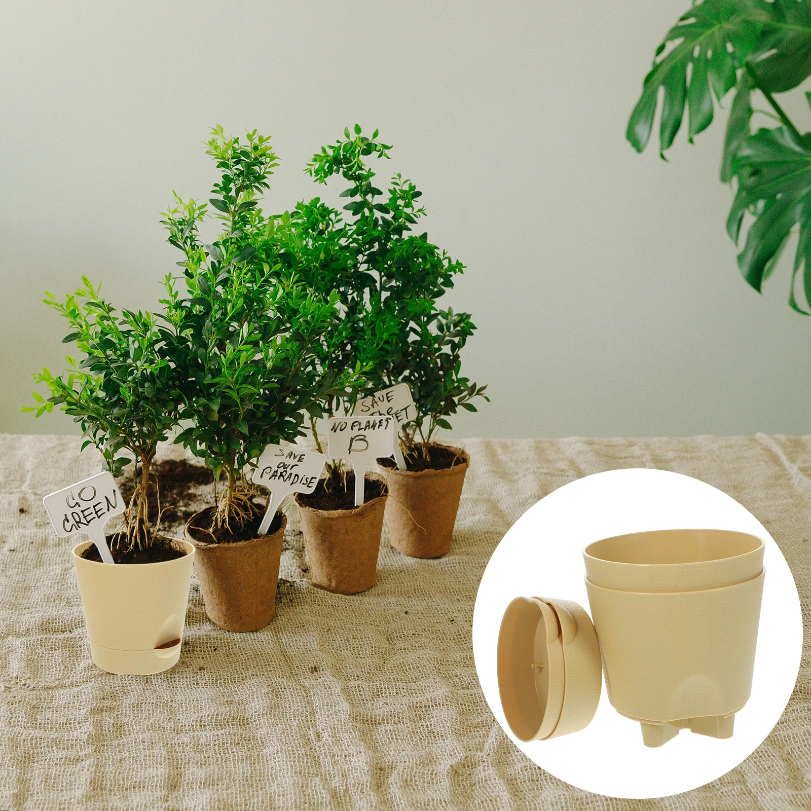 Flower Pot Automatic Water Absorbent Garden Plant Pots Outdoor Planter Self Spray Decoration Indoor Small Storage
Flower Pot Automatic Water Absorbent Garden Plant Pots Outdoor Planter Self Spray Decoration Indoor Small Storage