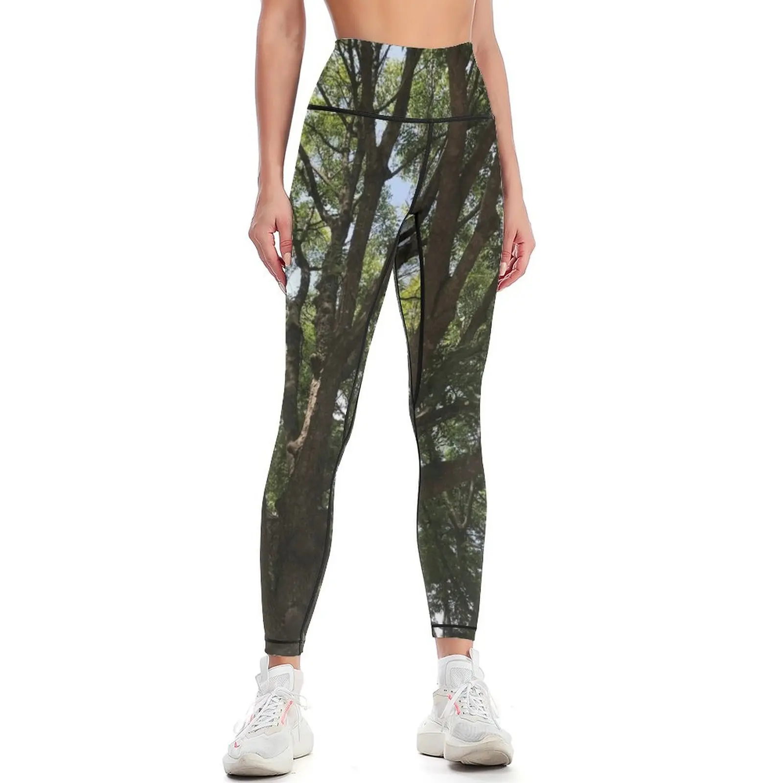 Tree Love Leggings sports shirts gym legging gym sportswear gym Jogger pants Womens Leggings
Tree Love Leggings sports shirts gym legging gym sportswear gym Jogger pants Womens Leggings