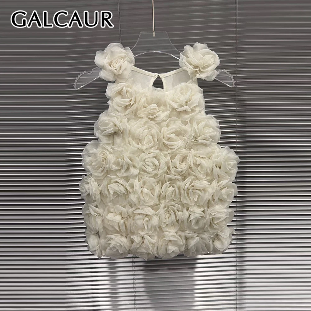 GALCAUR Solid Slimming Spliced 3D Flowers Vest for Women Round Neck Sleeveless Patchwork Mesh Elegant Top Female Fashion Style
GALCAUR Solid Slimming Spliced 3D Flowers Vest for Women Round Neck Sleeveless Patchwork Mesh Elegant Top Female Fashion Style