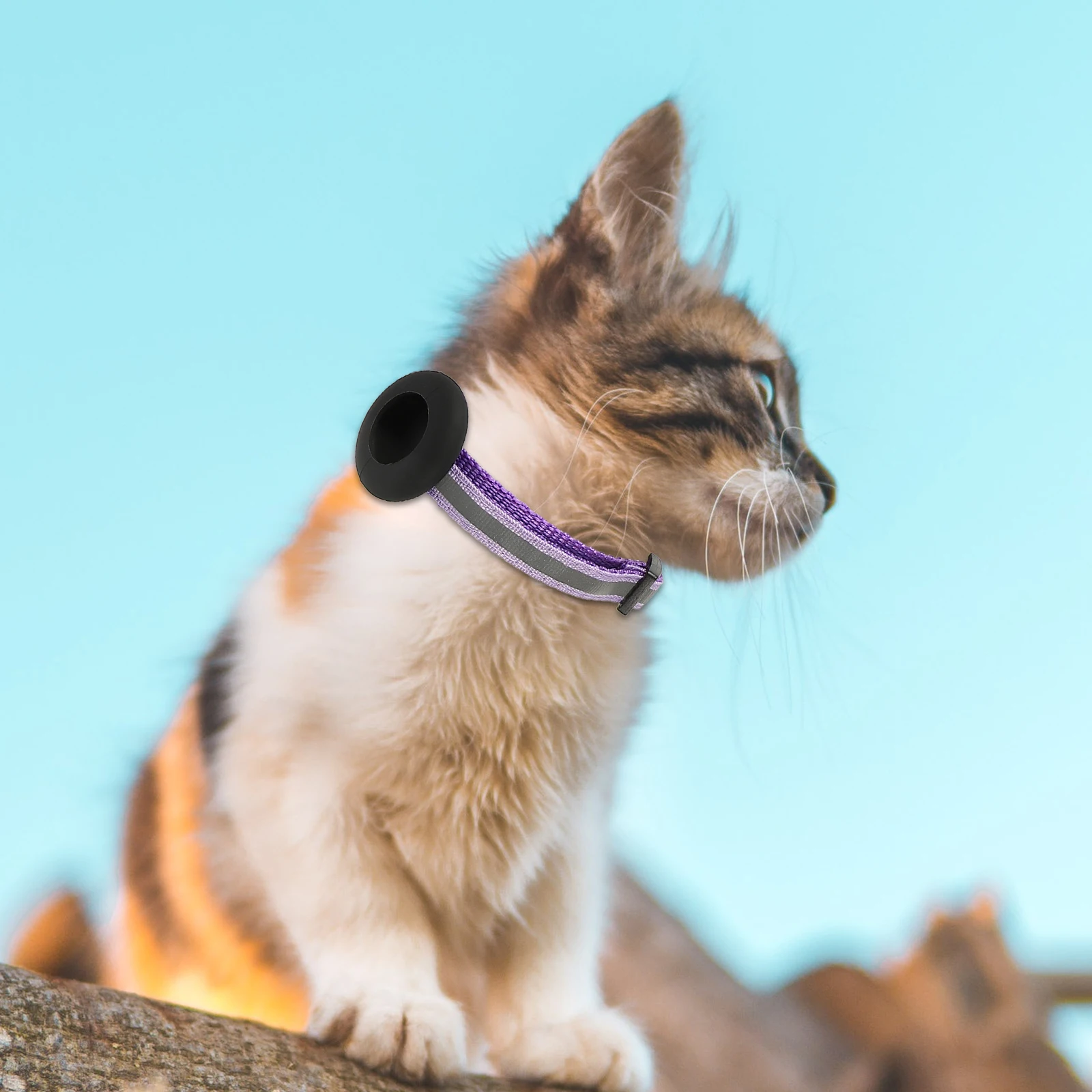 Reflective Pet Collar Breakaway Anti-lost Adjustable Dog Collars Nylon Tracer Purple Outdoor Bell Pet Supplies
Reflective Pet Collar Breakaway Anti-lost Adjustable Dog Collars Nylon Tracer Purple Outdoor Bell Pet Supplies