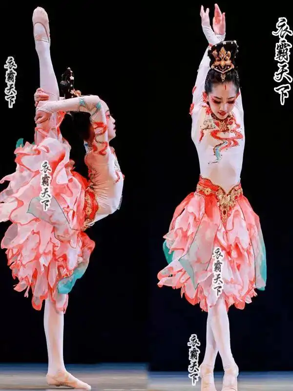 Chinese Dunhuang Flying Apsaras Ballet Dress Kids Ancient Style Petal Skirt Classical Dance Competition Costume
Chinese Dunhuang Flying Apsaras Ballet Dress Kids Ancient Style Petal Skirt Classical Dance Competition Costume