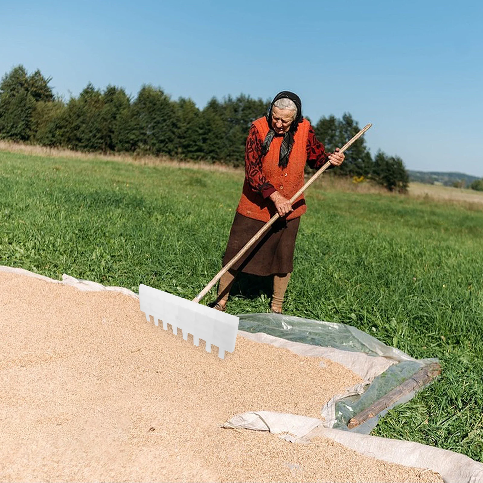 Garden Lightweight Leaf For Lawns Heavy Duty Yard Rake Artificial Grass Cleaning Hand Garden Tools Tool Hand Rake
Garden Lightweight Leaf For Lawns Heavy Duty Yard Rake Artificial Grass Cleaning Hand Garden Tools Tool Hand Rake