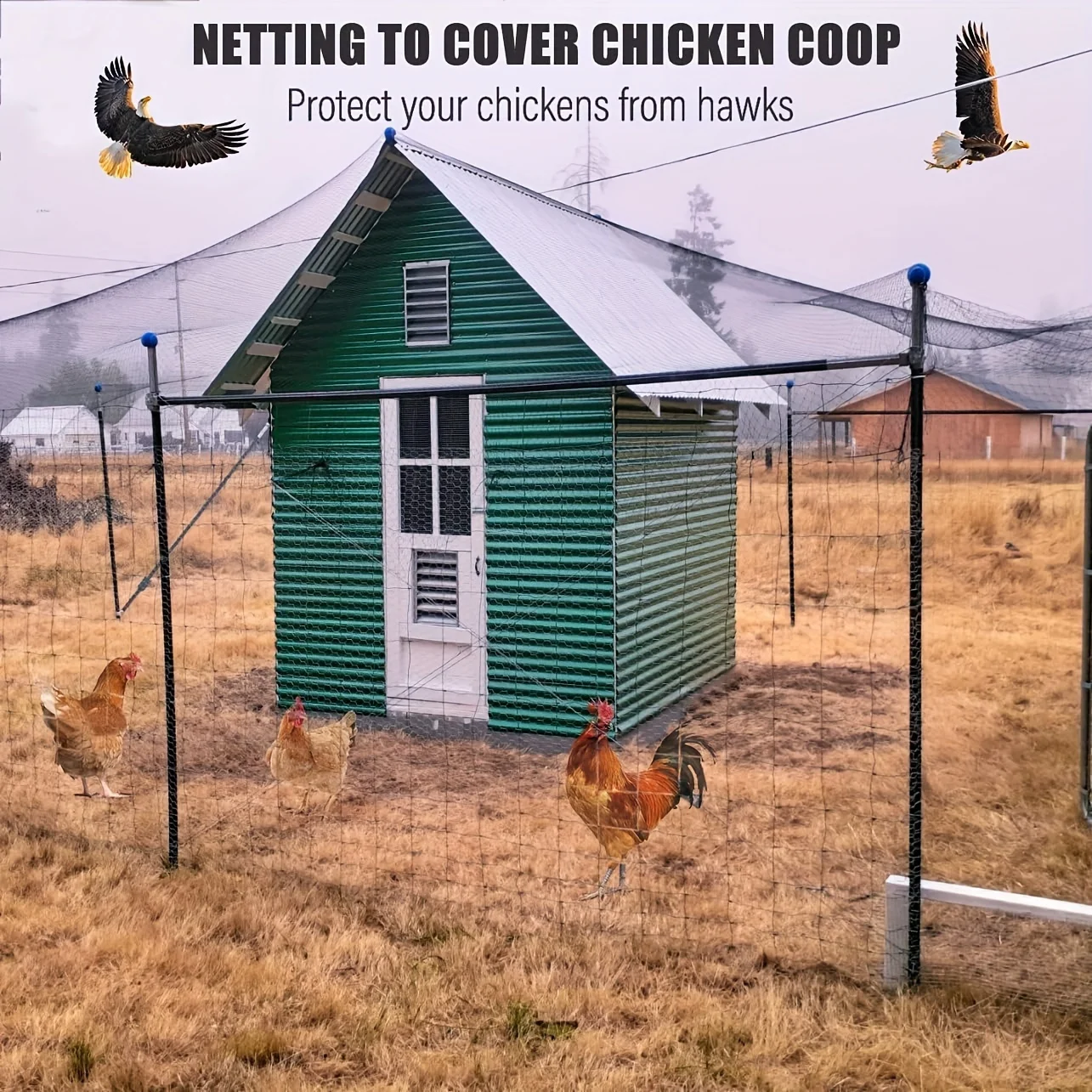 25x50ft Nylon Bird Net Anti Bird Catcher Netting Pond Fruit Tree Flower Garden Mesh Protective Chicken Coop Pest Control Tool
25x50ft Nylon Bird Net Anti Bird Catcher Netting Pond Fruit Tree Flower Garden Mesh Protective Chicken Coop Pest Control Tool
