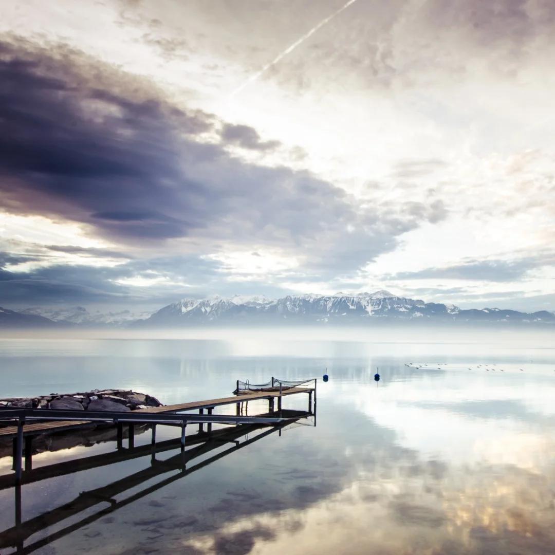 Car Radio Multimedia Android 13 For Toyota Land Cruiser 100 Lc100 Wireless Carplay Lexus Lx470 2003-2007 Video Player Autoradio
Car Radio Multimedia Android 13 For Toyota Land Cruiser 100 Lc100 Wireless Carplay Lexus Lx470 2003-2007 Video Player Autoradio