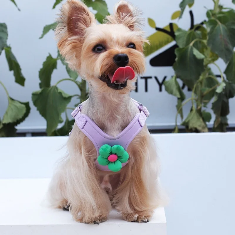 New Pet Harness MacaronsXUpgraded Vest-Style Leash Dog Hand Holding Rope
New Pet Harness MacaronsXUpgraded Vest-Style Leash Dog Hand Holding Rope