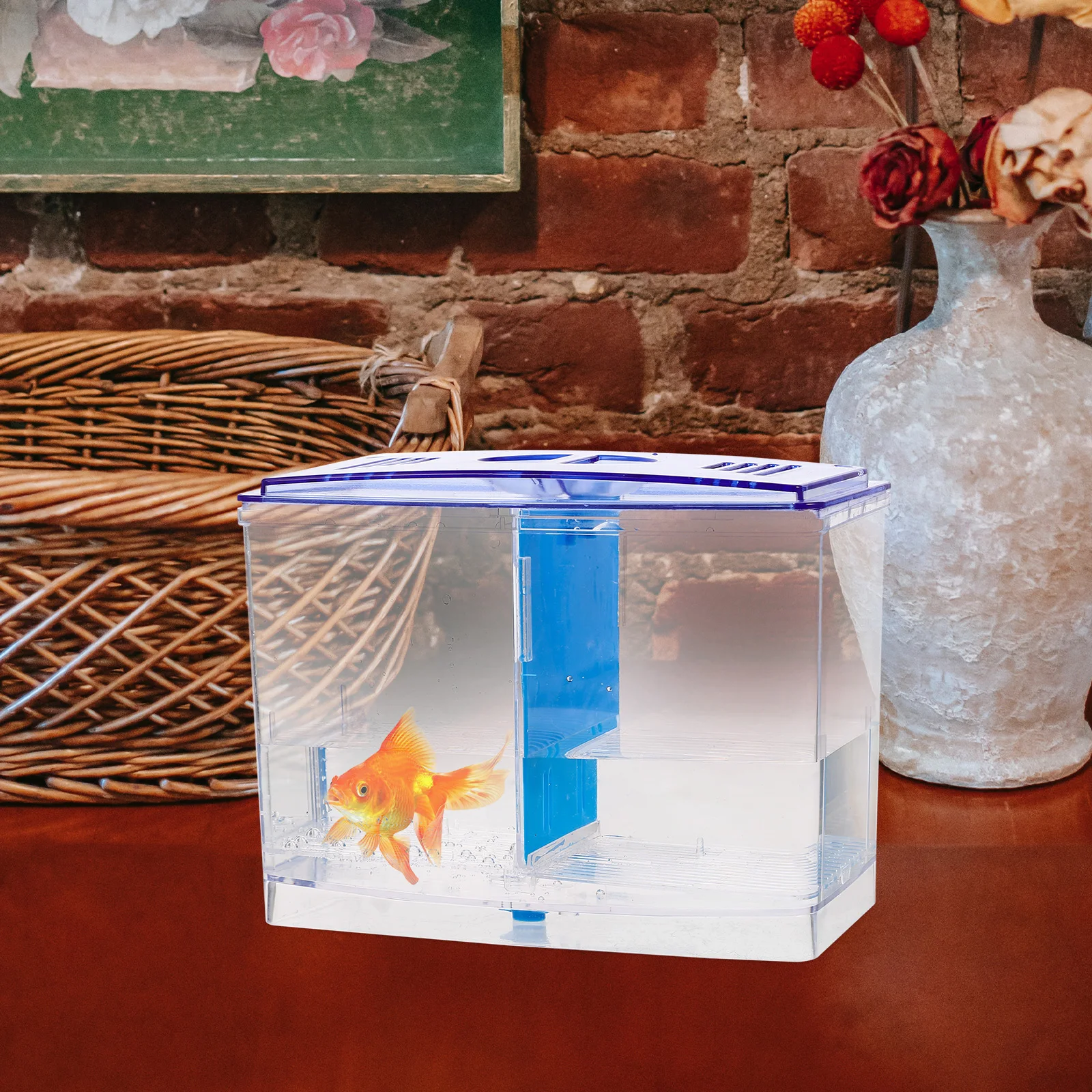 Betta Tank Isolation Box Acrylic Fish Breeding Hatchery Incubator Miniature Double Compartment Viviparous Safe Easy Clean
Betta Tank Isolation Box Acrylic Fish Breeding Hatchery Incubator Miniature Double Compartment Viviparous Safe Easy Clean