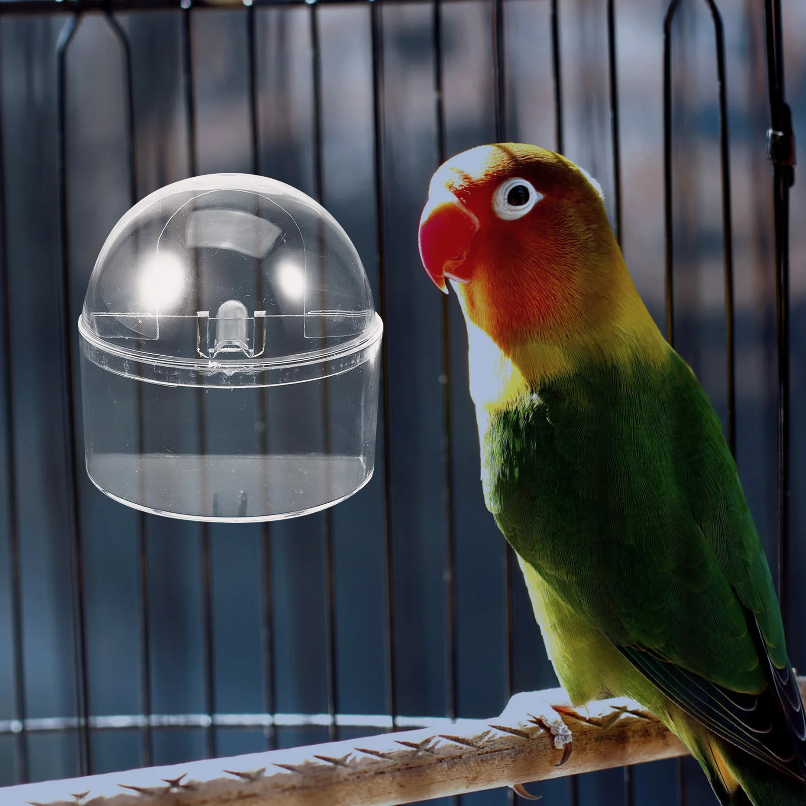 2pcs Acrylic Feeder Splash-Proof Food Container For Parrot Cage Washable Reusable Sturdy Feeding Bowl Small Bird Feeding Tool
2pcs Acrylic Feeder Splash-Proof Food Container For Parrot Cage Washable Reusable Sturdy Feeding Bowl Small Bird Feeding Tool