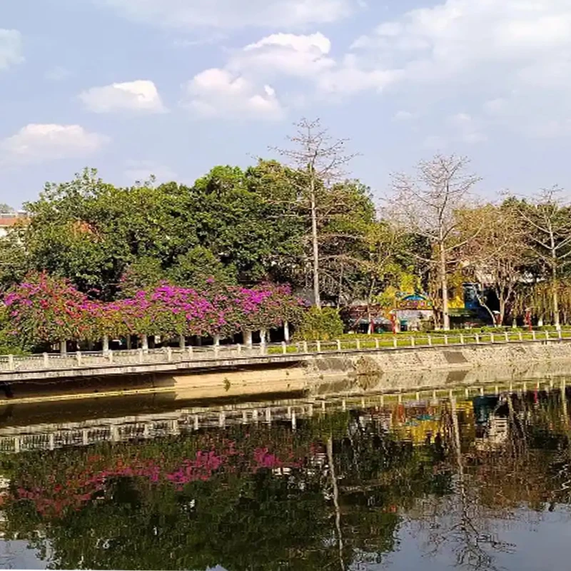 T-Hobby CINE77 High-Performance Brushless Motors with 477KV (12S), 777KV (8S), 977KV (6S) for FPV Freestyle Drones DIY Parts
T-Hobby CINE77 High-Performance Brushless Motors with 477KV (12S), 777KV (8S), 977KV (6S) for FPV Freestyle Drones DIY Parts