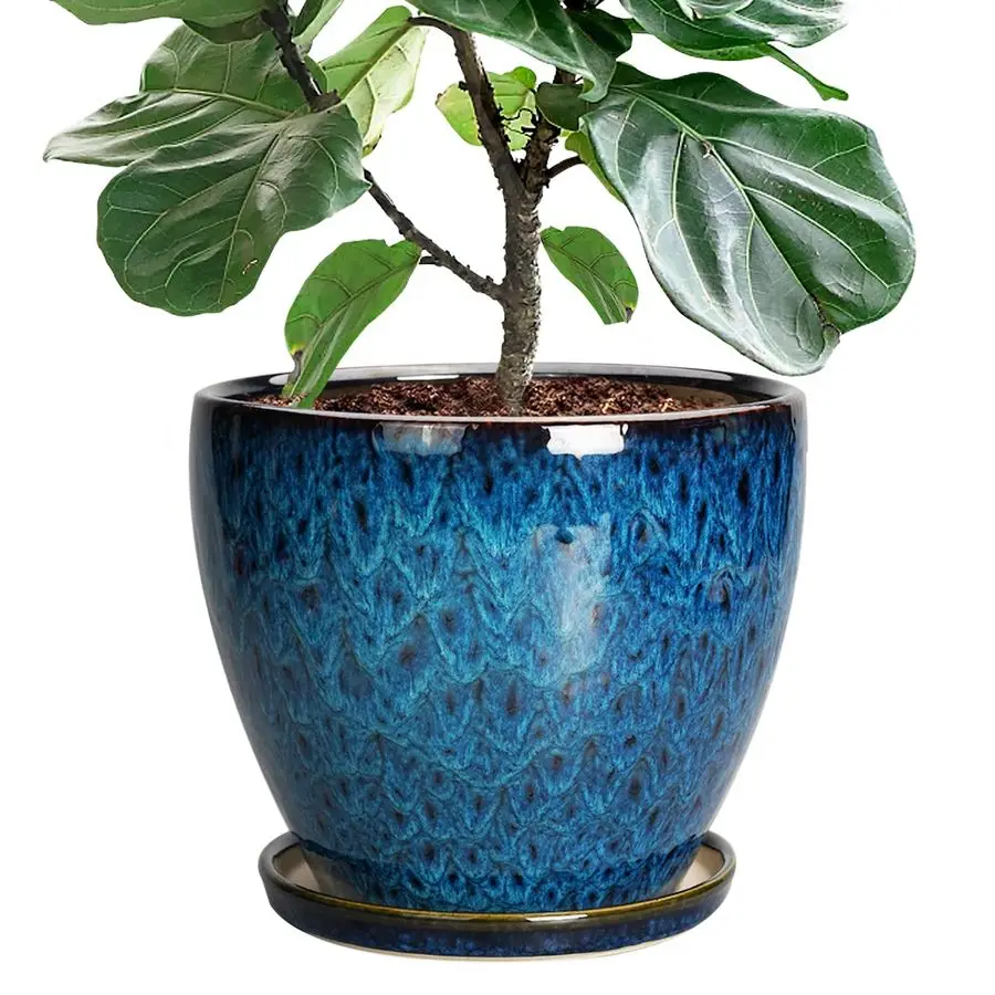 Керамический горшок EPFamily 10 дюймов, круглый, для комнатных и уличных растений, большой цветочный горшок с дренажным отверстием и поддоном B
Керамический горшок EPFamily 10 дюймов, круглый, для комнатных и уличных растений, большой цветочный горшок с дренажным отверстием и поддоном B