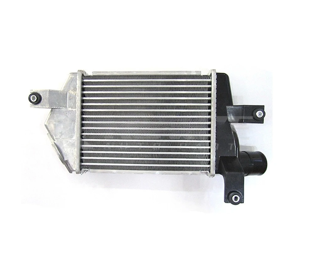 Automotive Parts Engine Oil Cooler MN135001
Automotive Parts Engine Oil Cooler MN135001