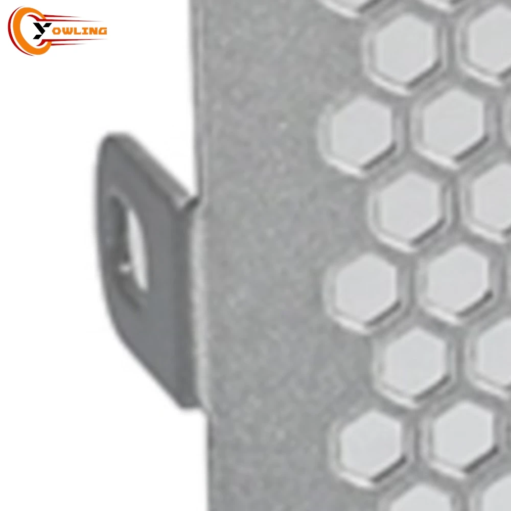 For Loncin VOGE CU525 525 CU 525CU 2023 - 2026 Radiator Grille Cover Guard Protection Protetor Motorcycle Accessories 2025 2024
For Loncin VOGE CU525 525 CU 525CU 2023 - 2026 Radiator Grille Cover Guard Protection Protetor Motorcycle Accessories 2025 2024