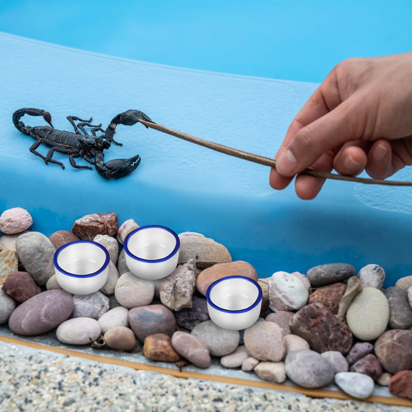 12Pcs Ceramic Mini Reptile Basins Small Durable Water Bowls Feeding Bowls Food Containers for Aquarium Pets Mini Ceramic Basins
12Pcs Ceramic Mini Reptile Basins Small Durable Water Bowls Feeding Bowls Food Containers for Aquarium Pets Mini Ceramic Basins