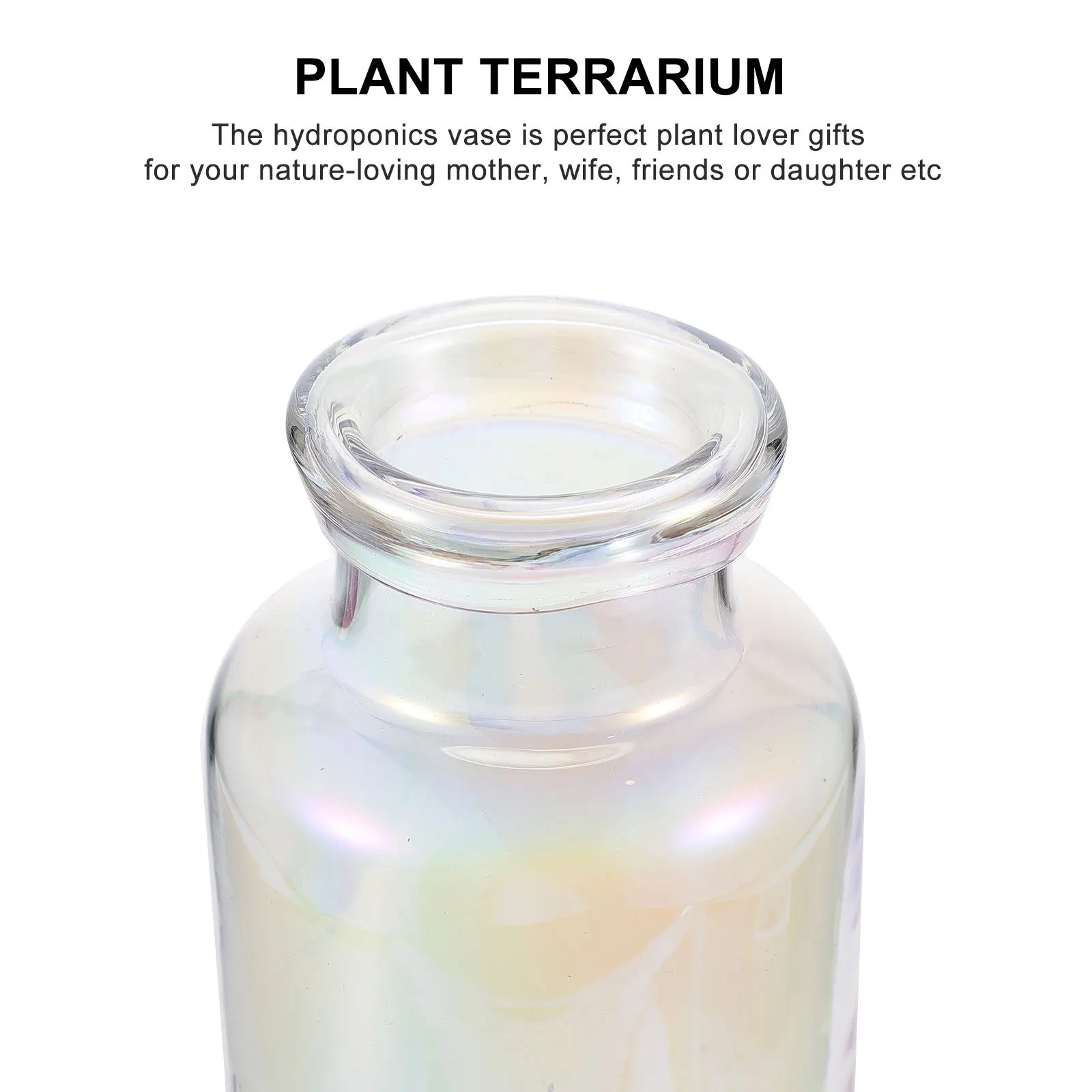 Colorful Glass Vase Hydroponics Planter Desktop Flower Arrangement Home Decoration Terrarium Hydroponic Plants Vase 
Colorful Glass Vase Hydroponics Planter Desktop Flower Arrangement Home Decoration Terrarium Hydroponic Plants Vase