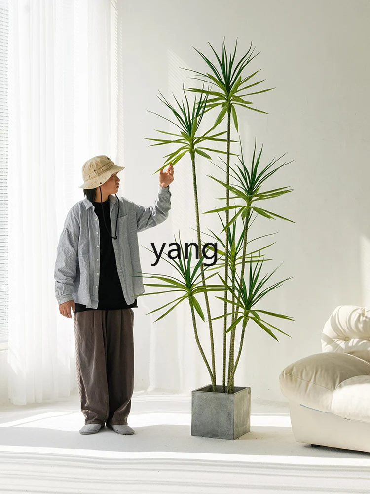 LTT Light Luxury Simulation Plant High-End Indoor Living Room Decoration Floor Ornaments
LTT Light Luxury Simulation Plant High-End Indoor Living Room Decoration Floor Ornaments