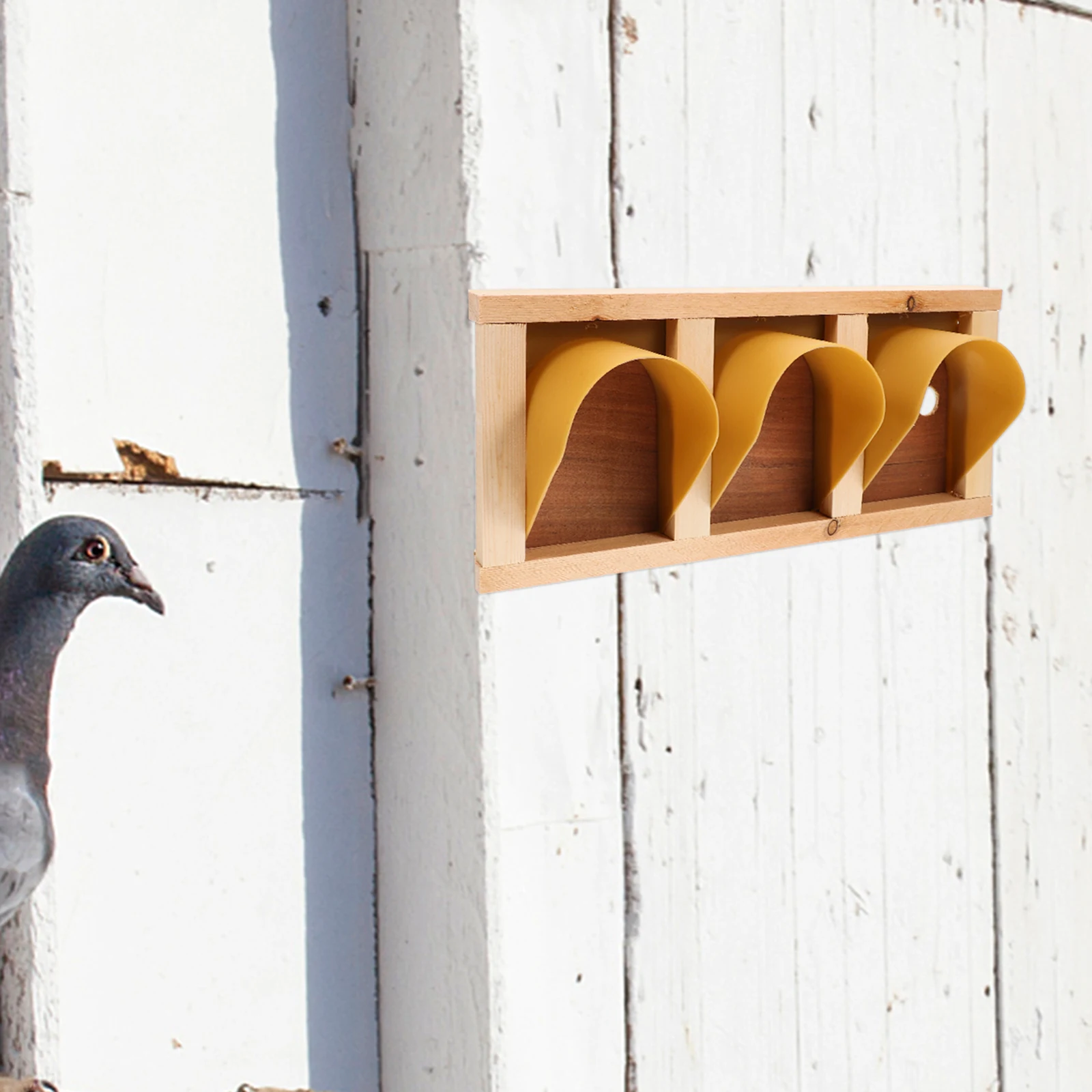 Wooden Pigeon Cage Door Racing House Entrance Bird Doors Loft Travel Dove Ideal European Style Durable Wood Easy Care Simple
Wooden Pigeon Cage Door Racing House Entrance Bird Doors Loft Travel Dove Ideal European Style Durable Wood Easy Care Simple