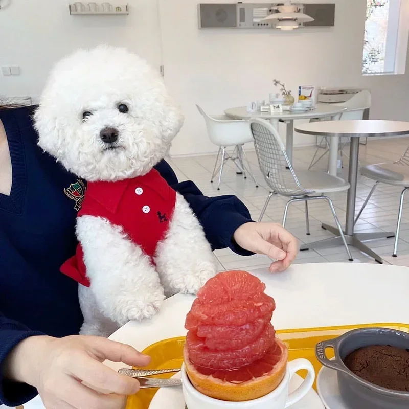Home furnitureDog Clothes Summer Vest Small Puppy Spring Summer Thin Teddy Bigbear Dog Clothes for Small Dogs Dog Costume
Home furnitureDog Clothes Summer Vest Small Puppy Spring Summer Thin Teddy Bigbear Dog Clothes for Small Dogs Dog Costume