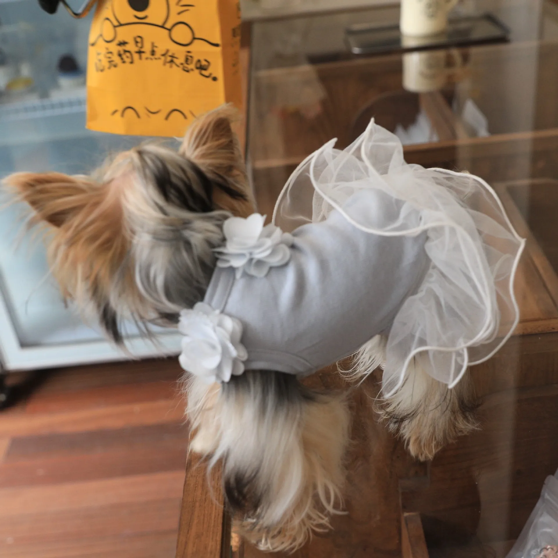 Light blue Soft Cotton Pet Dog Clothes Autumn New Fashion Flower Lace Hoodie Dress for Small Medium Dog Yorkshire Puppy Overalls
Light blue Soft Cotton Pet Dog Clothes Autumn New Fashion Flower Lace Hoodie Dress for Small Medium Dog Yorkshire Puppy Overalls