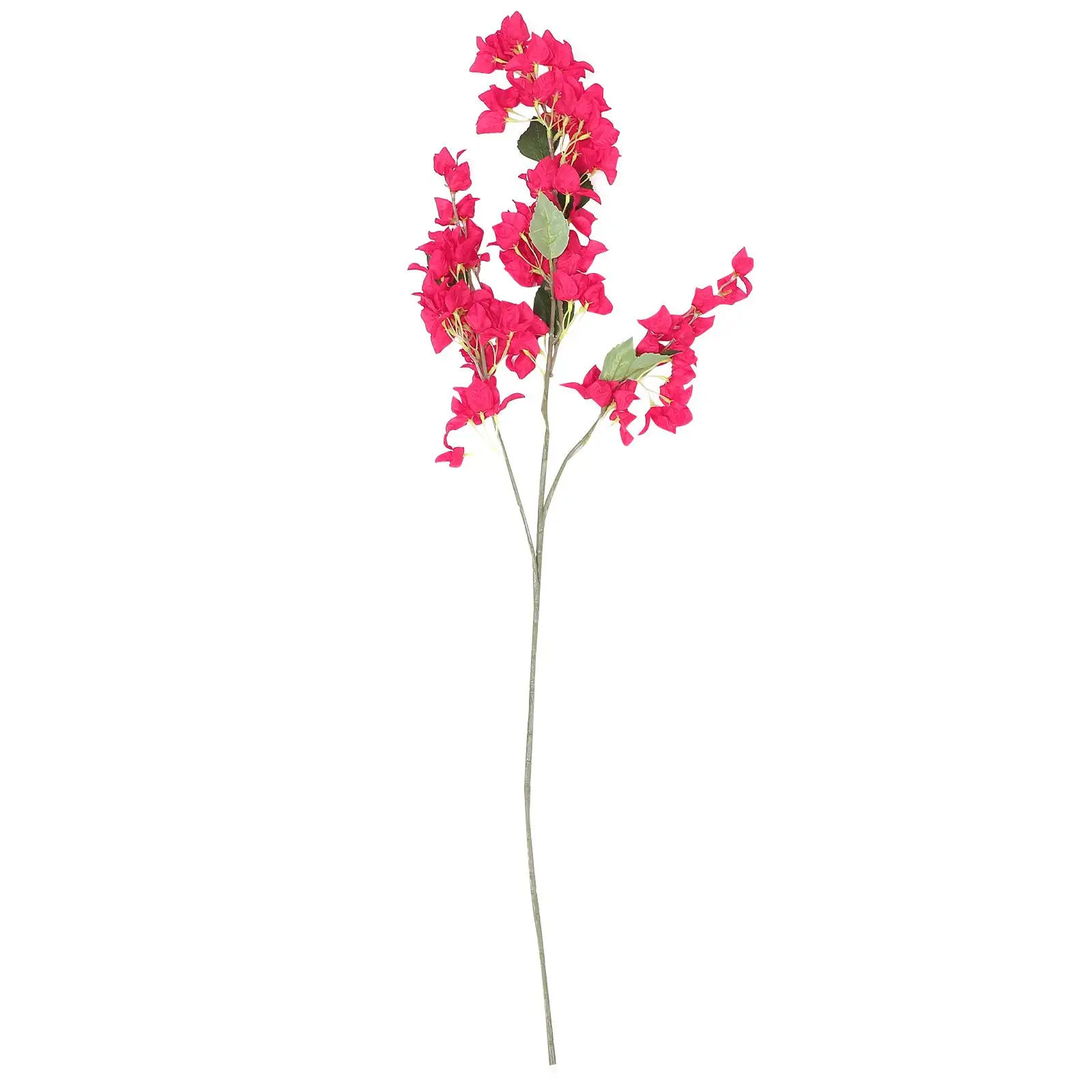 Artificial Flowers Silk Bougainvillea Home Decor Faux Flower Stems AestheticFlowers LifelikeArrangements Wedding Party
Artificial Flowers Silk Bougainvillea Home Decor Faux Flower Stems AestheticFlowers LifelikeArrangements Wedding Party