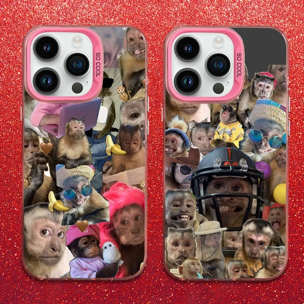 Cute Funny Monkey Art Phone Case For iPhone 16,15,14,13,12,11,Mini,Pro,SE,MAX Pink Matte Silicone Cover
Cute Funny Monkey Art Phone Case For iPhone 16,15,14,13,12,11,Mini,Pro,SE,MAX Pink Matte Silicone Cover