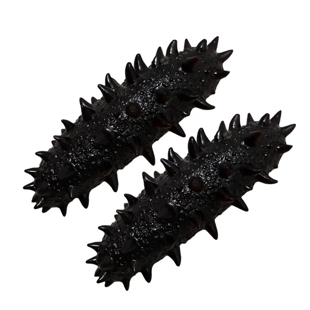 2 Pcs Lifelike Sea Cucumber Models Artificial Food Props Educational Toys Decorative Cognitive Playthings Science Learning
2 Pcs Lifelike Sea Cucumber Models Artificial Food Props Educational Toys Decorative Cognitive Playthings Science Learning
