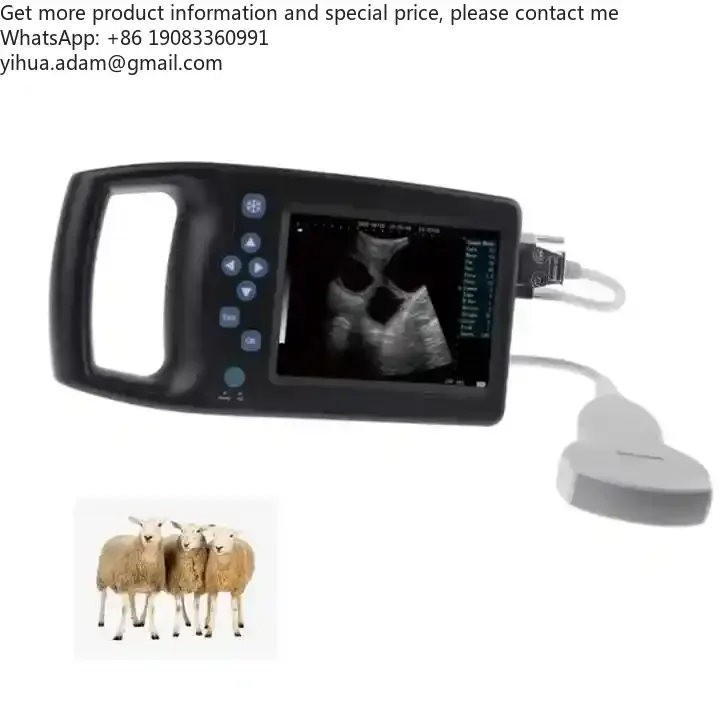Veterinary Ultrasound Imaging Sonography Animal Diagnostic Echography Examination Health Scanner Ecografo Portable Machine
Veterinary Ultrasound Imaging Sonography Animal Diagnostic Echography Examination Health Scanner Ecografo Portable Machine