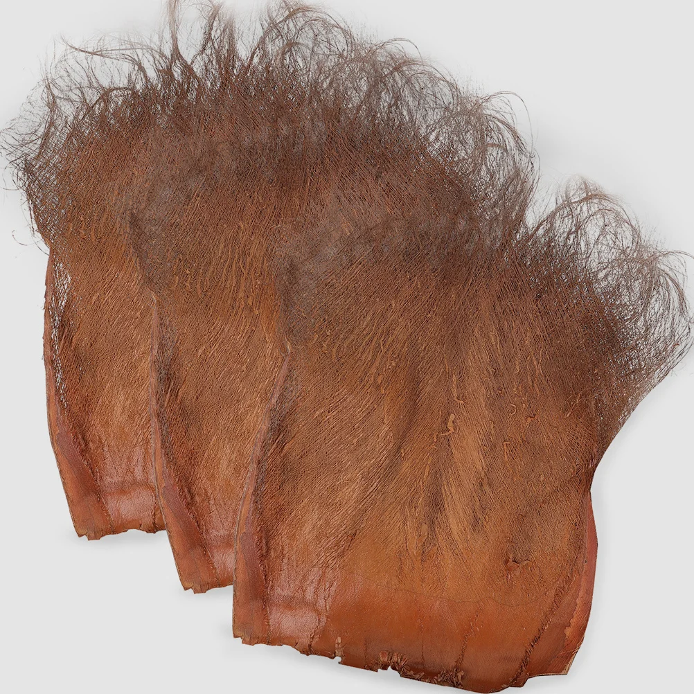 5Pcs Realistic Palm Tree Bark Landscaping Decorative Bark for Garden Projects Aquarium Tank Background Tank Background
5Pcs Realistic Palm Tree Bark Landscaping Decorative Bark for Garden Projects Aquarium Tank Background Tank Background