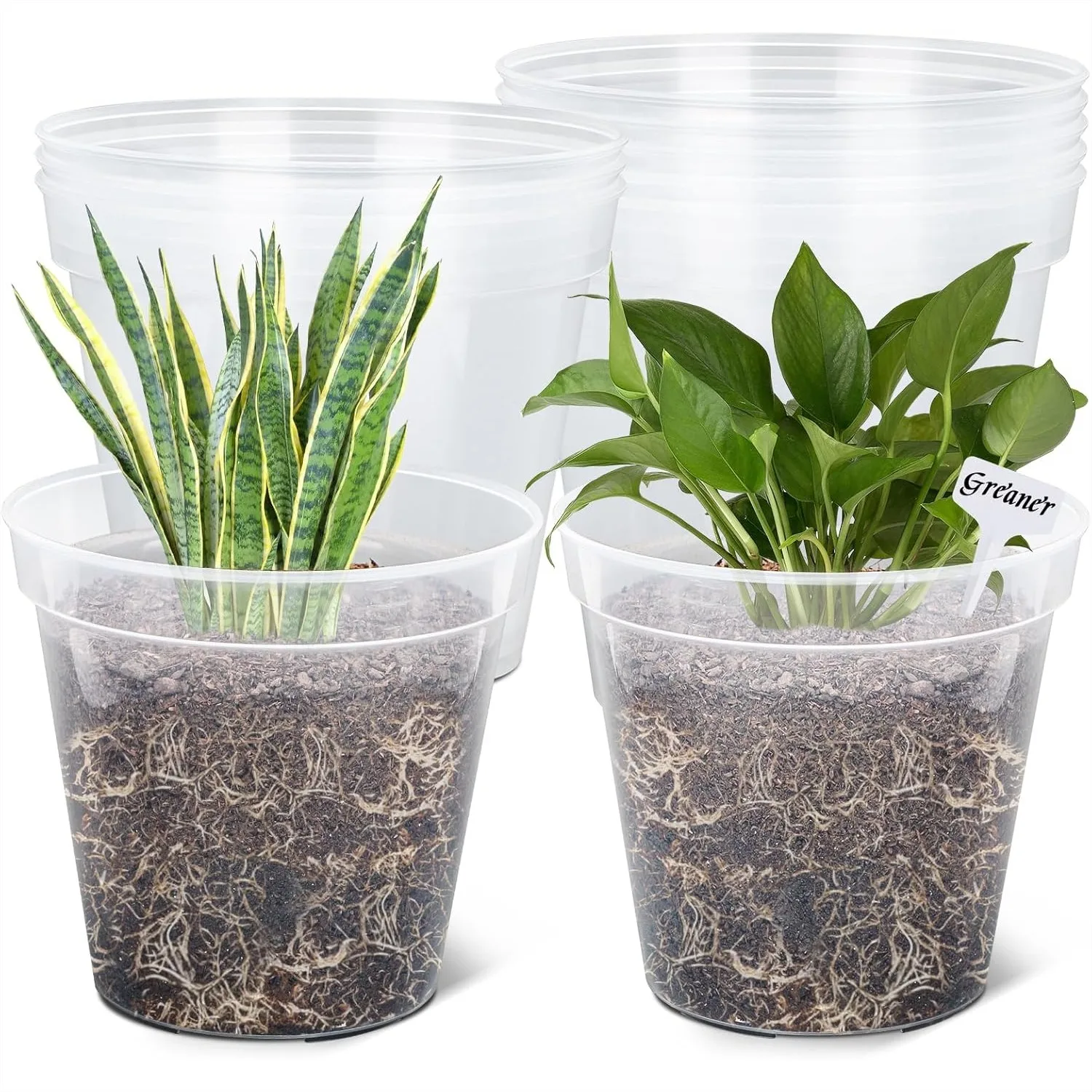 10 Inch Clear Nursery Pots with Drainage Holes, High Transparency Plant Containers for Seedlings, Succulents, Vegetables, 10
10 Inch Clear Nursery Pots with Drainage Holes, High Transparency Plant Containers for Seedlings, Succulents, Vegetables, 10